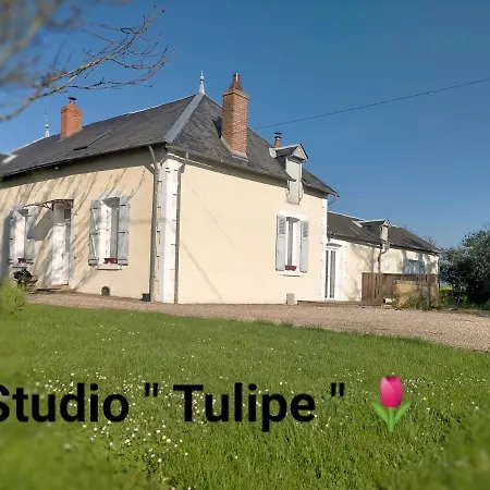 Studio 