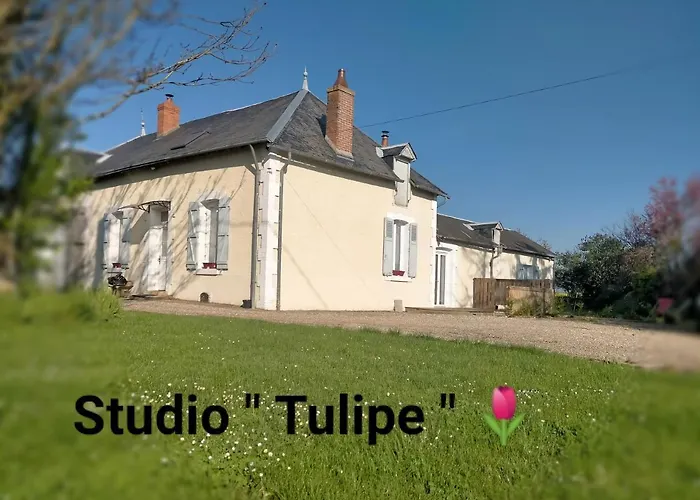 Studio \